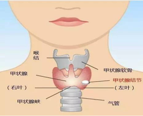 1565efff3d60340cade56b3c49abe4b0